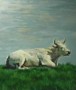Dikbil van boer Duineveld Kunstwerk Dikbil van boer Duineveld