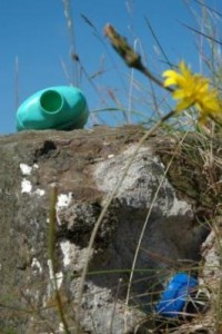 standing bottles 2