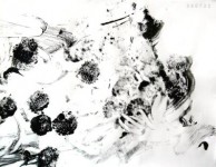 060722 060722