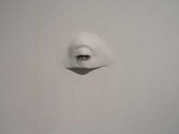 oog oog