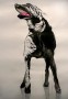 Hond Kunstwerk Hond