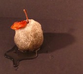 sneeuwappel sneeuwappel