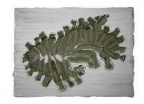 MG-0724-01 MG-0724-01