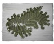MG-0724-01 Kunstwerk MG-0724-01