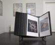 Showrek Kunstwerk Showrek