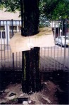 After Time 1.A / White Elements 1. / Rotterdam / Baum 4 & 5   After Time 1.A / White Elements 1. / Rotterdam / Baum 4 & 5