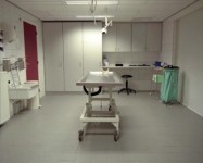 uit: Een jaar met de Dood uit: Een jaar met de Dood