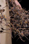 Wellust 3 Kunstwerk Wellust 3