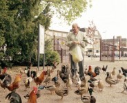 uit boek Straatweg uit boek Straatweg