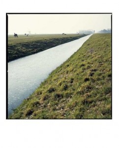 holland holland