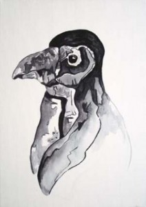Spheniscus Demersus Spheniscus Demersus