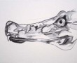 Crocodylus Cataphractus Kunstwerk Crocodylus Cataphractus