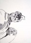 Caretta Caretta Kunstwerk Caretta Caretta
