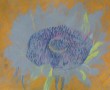 The sunflower Kunstwerk The sunflower