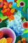 Zomerse plons Kunstwerk Zomerse plons
