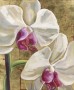 Orchidea oro Kunstwerk Orchidea oro