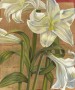 Lilium Kunstwerk Lilium