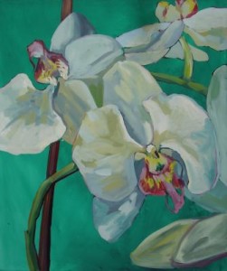 Orchidea Orchidea