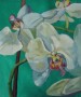 Orchidea Kunstwerk Orchidea