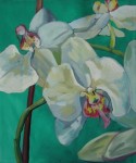 Orchidea Orchidea