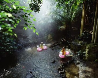 Jungle #1 Jungle #1