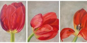 tulipani tulipani