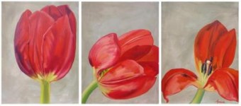 tulipani tulipani