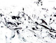 060901 060901