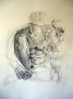 Saturnus Kunstwerk Saturnus