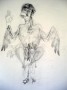 bird of prey Kunstwerk  bird of prey