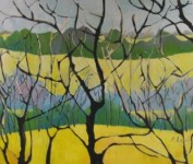 het bos I het bos I