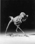 vogelvrouw Kunstwerk vogelvrouw