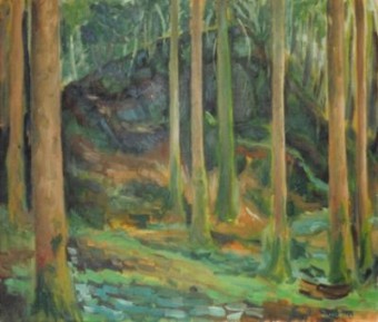 Forest, Ierland Forest, Ierland