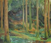Forest, Ierland Forest, Ierland