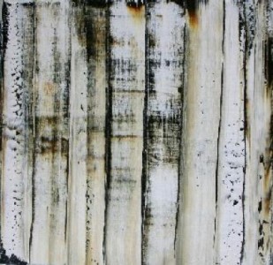 driftwood i driftwood i