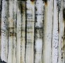 driftwood i Kunstwerk driftwood i