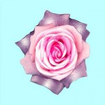 rose blue rose blue