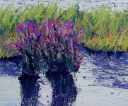 't Gors nr 1 't Gors nr 1