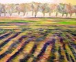 Landschap Goeree Overflakkee nr. 1 Kunstwerk Landschap Goeree Overflakkee nr. 1