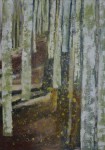 berkenbos berkenbos