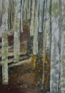 berkenbos berkenbos