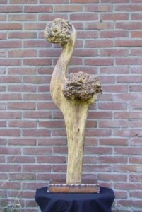 Vreemde vogel