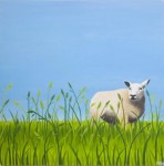 Schaap Schaap