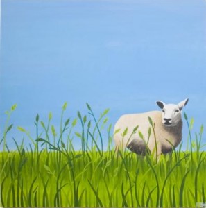 Schaap Schaap