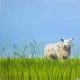 Schaap Kunstwerk Schaap