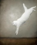 Kat 2 Kat 2