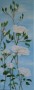Bloemen: Witte klimroos Kunstwerk Bloemen: Witte klimroos