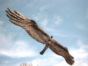 vogelvrouw vogelvrouw