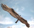 vogelvrouw Kunstwerk vogelvrouw