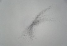starling starling